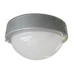 Светильник Терма 3 НББ 03-60-003 IP65 белый