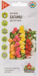 Семена Мальва Багамы смесь 0,2г