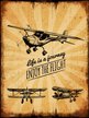 Картина на холсте 30x40 ENJOY THE FLIGHT HE-101-441