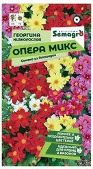 Семена Георгина низкорослая Опера микс