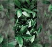 Фотообои виниловые на флизелиновой основе Листья за стеклом 300х270см