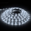 Лента светодиодная LS 604 LED-RL 60SMD 12V 5м белый