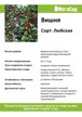 Саженец Вишня Любская С7,5 Н100-140