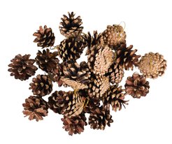 Набор украшений Шишки 5см золото SYXGJA-472103