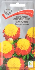 Семена Бархатцы (Тагетес) отклоненные махровые Золотая головка