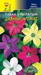 Семена Табак крылатый Дивный аромат смесь 0,2г