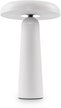 Светильник аккумуляторный Freya FR6109TL-L4W Белый 4Вт.3000-4000К