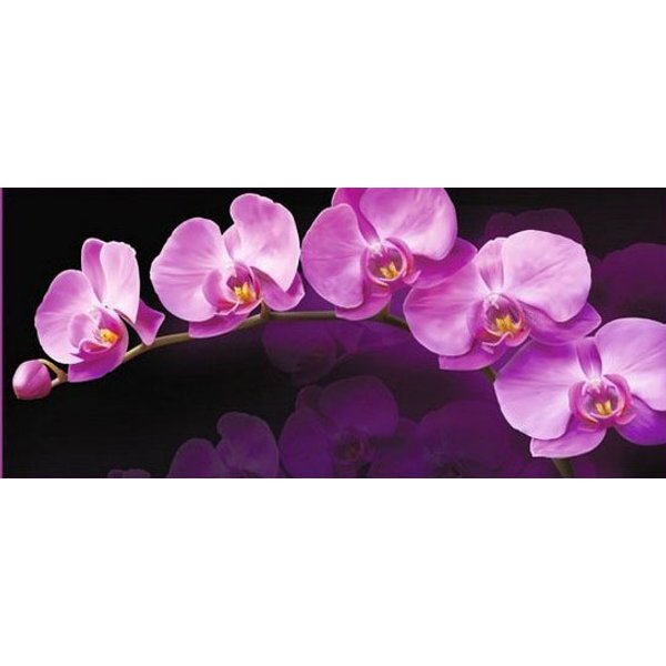 Фотообои Vostorg Collection А002 Зеркальная орхидея 294х134 6л
