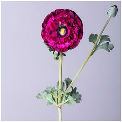 Цветок искусственный Ранункулюс розовый 55см