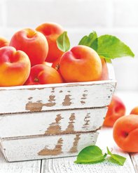 Картина на стекле Абрикосы 40х50