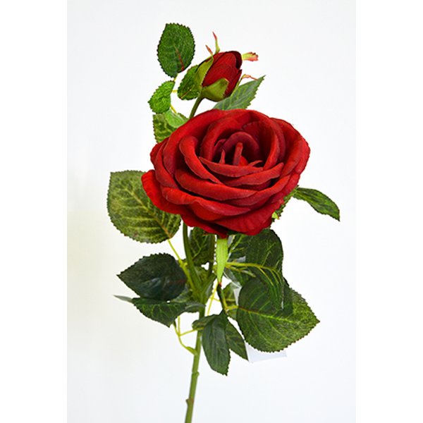 Роза британия 2 цветка бордовая h70см