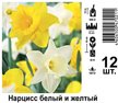 Луковица Нарцисс белый и желтый 12шт