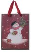 Пакет бумажный новогодний Снеговик 23х18х10см 210г, SYLPD23-004 Пакет бумажный новогодний Снеговик 23х18х10см 210г, SYLPD23-004