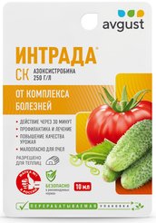 Средство от болезней овощных культур Интрада 10мл