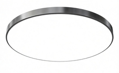 Светильник светодиодный SPA 30Вт 230В/50Гц 2400лм 4000К IP54 D320х30 серебро 