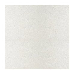 Плита потолочная BioGuard Plain 12х600х600