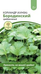 Семена Кориандр Бородинский 2г