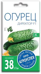 Семена Огурец Директор F1 7шт (350)