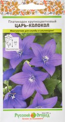 Семена Платикодон Царь-Колокол крупноцветковый
