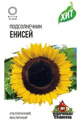Семена Подсолнечник Енисей 5г