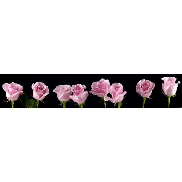 Фартук кухонный цветной 2440х847х3,2мм Розовые розы