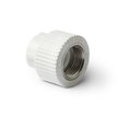 Муфта полипропиленовая комбинированная Pro Aqua d25х1" внутренняя резьба