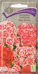 Семена Гвоздика Турецкая Супер Дуплекс