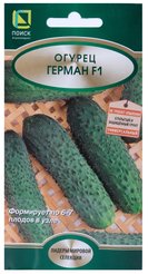 Семена Огурец Герман 12шт