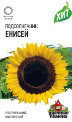 Семена Подсолнечник Енисей 5г