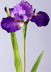 Цветок искусственный Ирис 90см