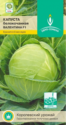 Семена Капуста Валентина F1 б/к цв/п 0,1г