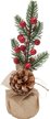 Украшение настольное 20см с сосновой шишкой и красными ягодами ПЭ SYSPS-0925365 Украшение настольное 20см с сосновой шишкой и красными ягодами ПЭ SYSPS-0925365