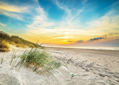 Декопанно DP-5005 50х70 берег