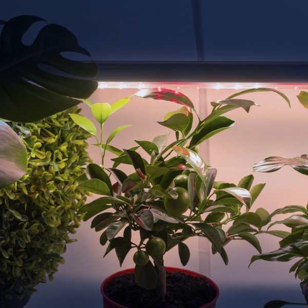 Светильник для растений ЭРА FITO-18W-T5-Ra90 полного спектра 18Вт Т5