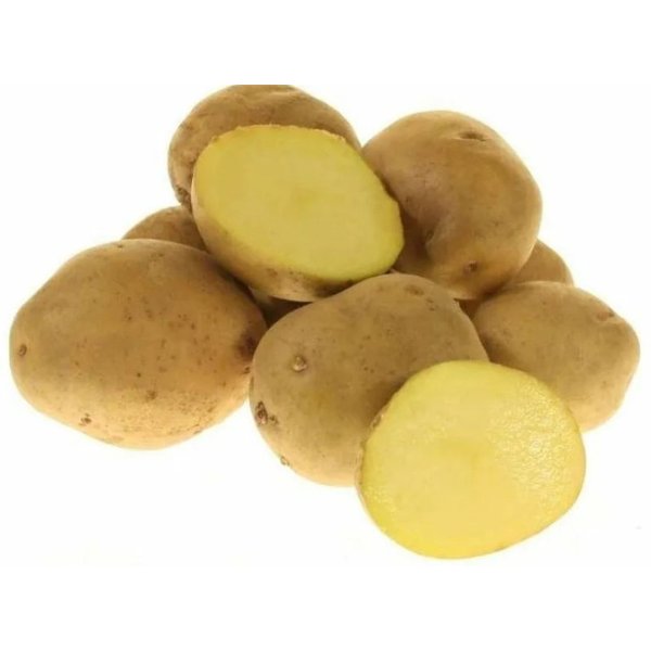Картофель семенной Джелли среднеранний 1кг