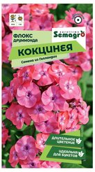 Семена Флокс Друммонда Кокцинея