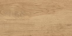 Керамогранит Florida_GT 30x60см Бежевый 1,62м²/уп(GT220VG)