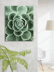 Канвасы IDEA Суккулент 2, CT3-253 40х50