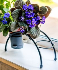 Подставка для цветов на 3 горшка 29х16см h12см, металл, черный, 41-001B