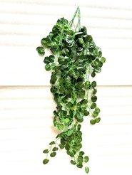 Растение искусственное Лиана Фиттония 95см