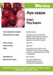 Лук-севок Ред Барон (красный) 0,5кг