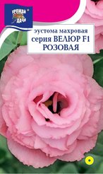 Семена Эустома махровая серия ВЕЛЮР F1 Розовая 5шт