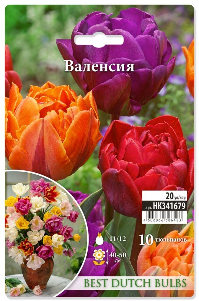 Луковица Тюльпан Валенсия смесь 10шт 365738 купить с доставкой в ...