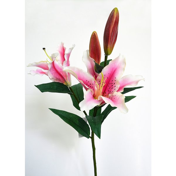 Лилия ветвь 4 цветка белая с розовым 90см