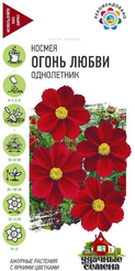 Семена Космея Огонь любви 0,3г