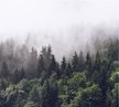 Фотообои виниловые на флизелиновой основе Туманная Скандинавия 3х2,7