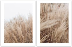 Набор постеров 30х40 Сухой тростник 2шт