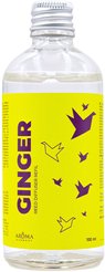 Наполнитель для диффузора GINGER 100мл
