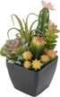 Растение искусственное Суккуленты 20 см DIY-S098