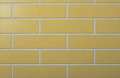 Панель фасадная ЦСП 1125х482х12мм белый грунт INGWER-13,желтый